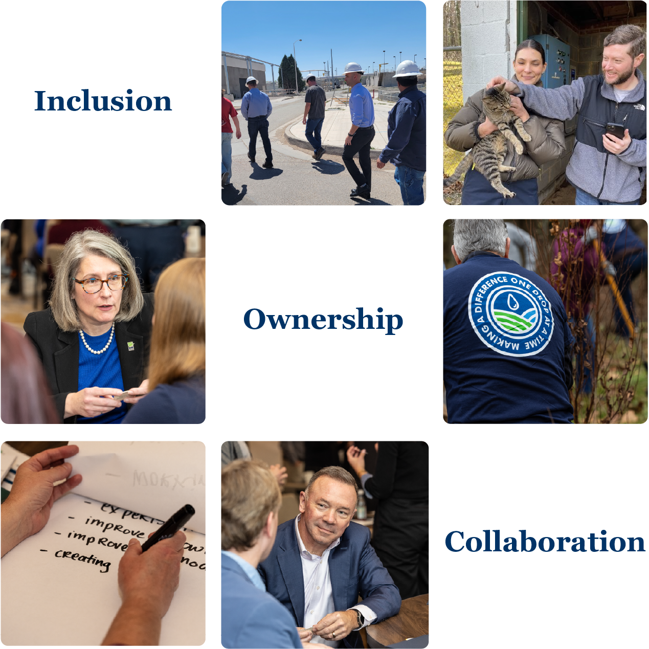 Inclusion-Ownership-Collaboration